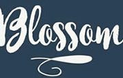 Blossom Restaurant Seville