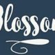 Blossom Restaurant Seville