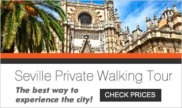 Seville Private Walking Tour